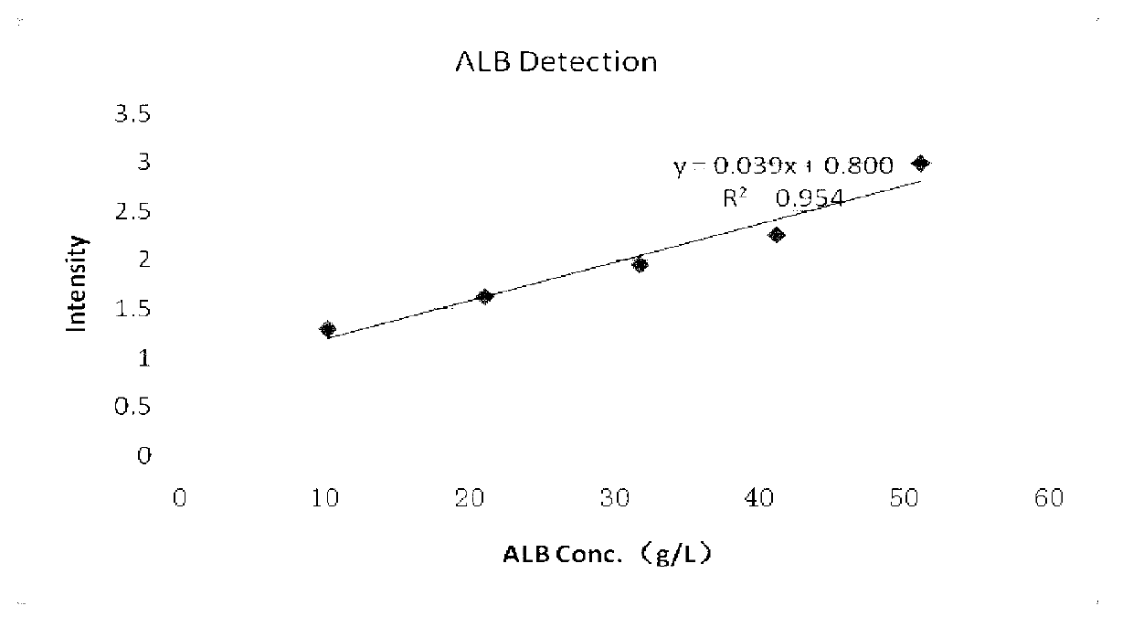 Albumin detection reagent