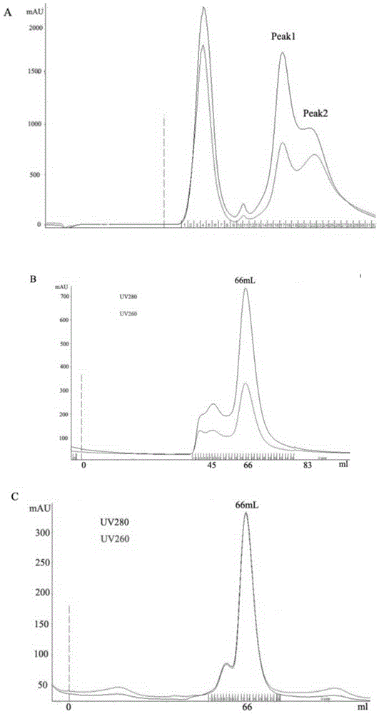 Method for crystallizing influenza virus RNA polymase