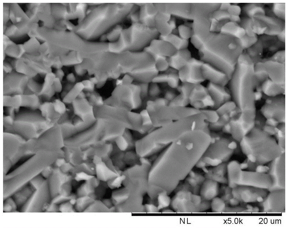 A kind of preparation method of dense silicon carbide ceramics without boron or rare earth elements