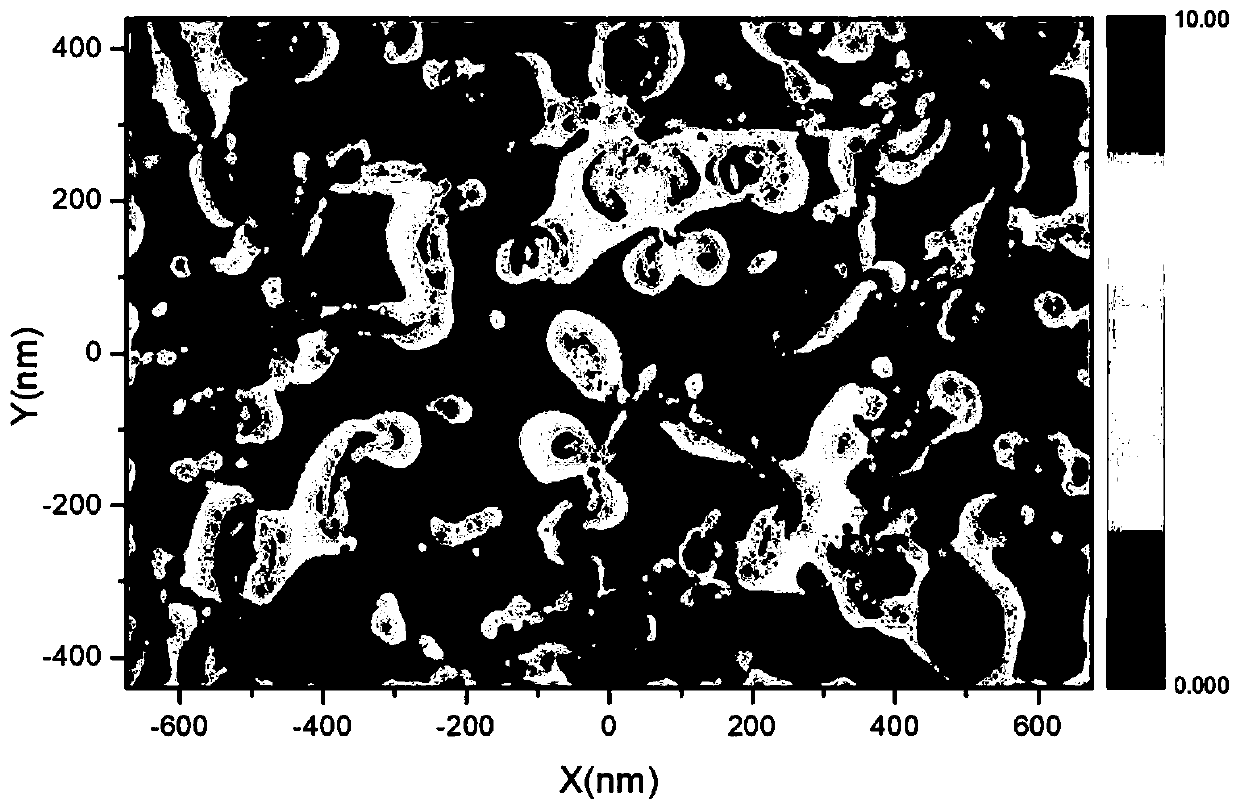 Plasma porous structure with hotspot structure and preparation method thereof