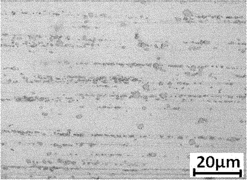 Sliding electrical contact material with high rare earth content