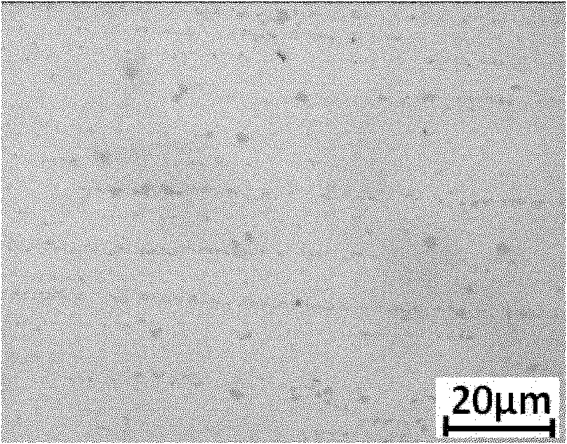 Sliding electrical contact material with high rare earth content