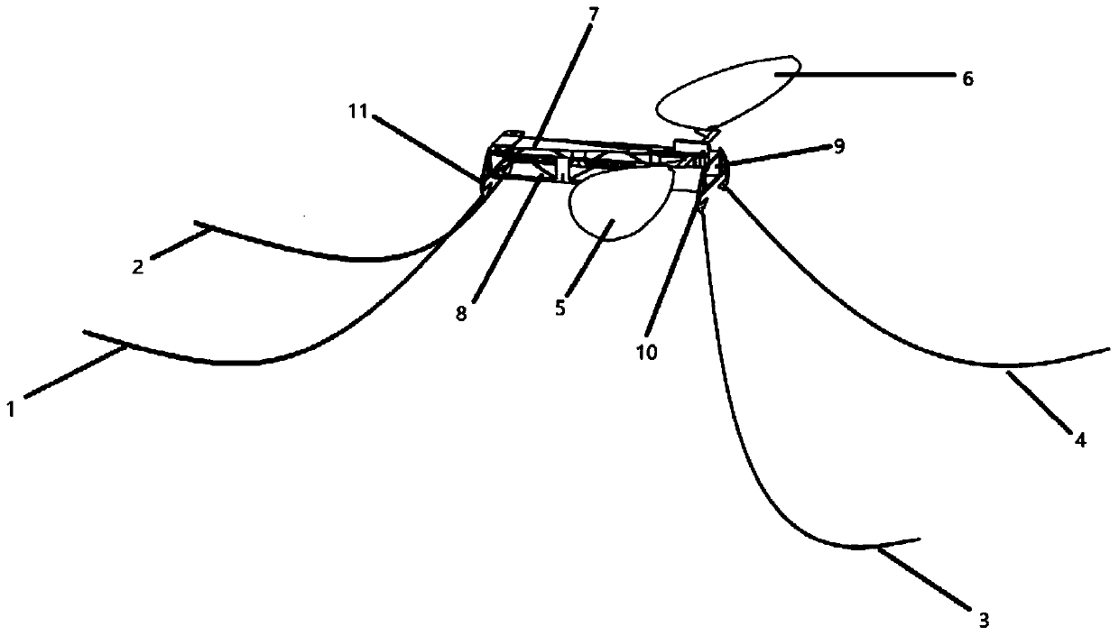Water strider-like piezoelectric-driven ultramicro flapping-wing amphibious robot
