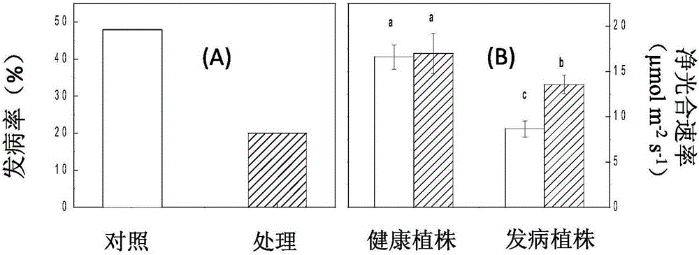 Application of Decanoyl Homoserine Lactone in Improving Botrytis Botrytis Resistance of Plants