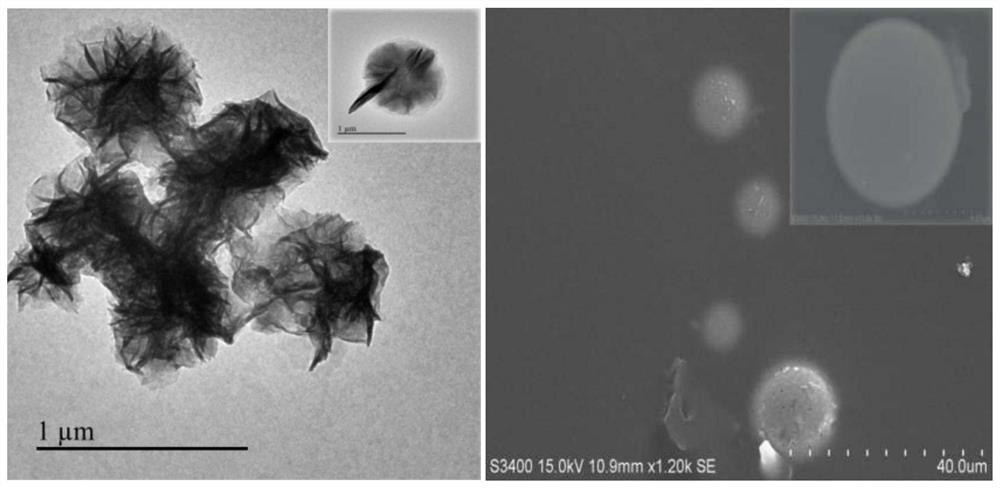 Preparation method of RNA triple helix hydrogel for targeted therapy of triple negative breast cancer