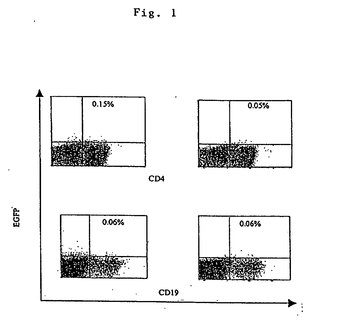 Transfection of blood cells with mRNA for immune stimulation and gene therapy