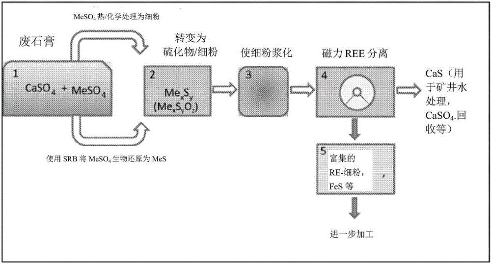 Method for recovering rare earth metals from waste sulphates