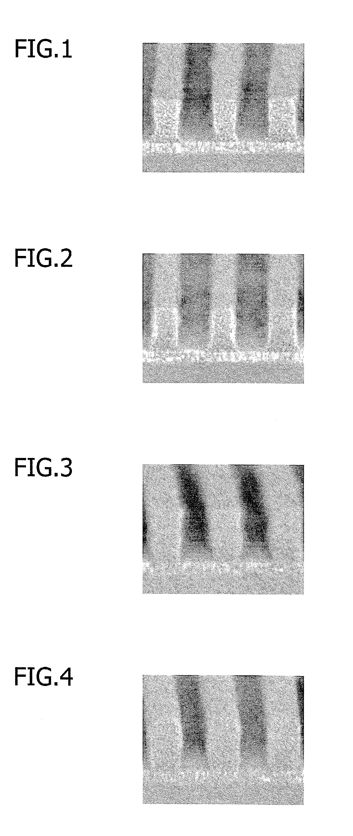 Preparation process of chemically amplified resist composition