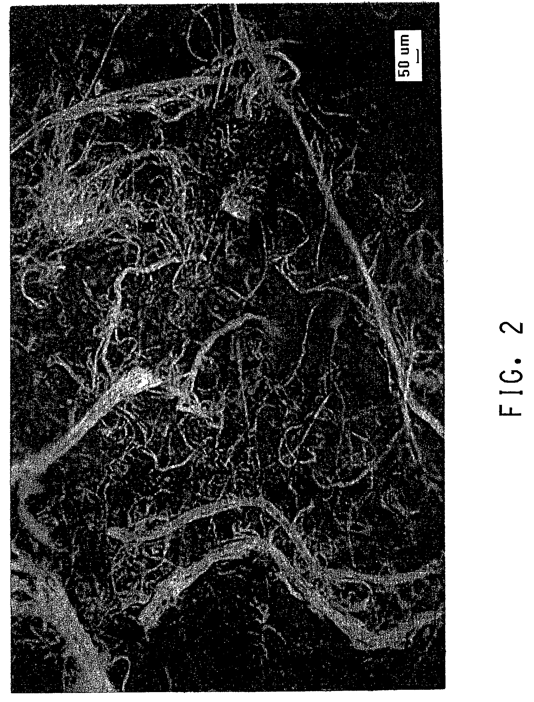 Method of producing micropulp and micropulp made therefrom