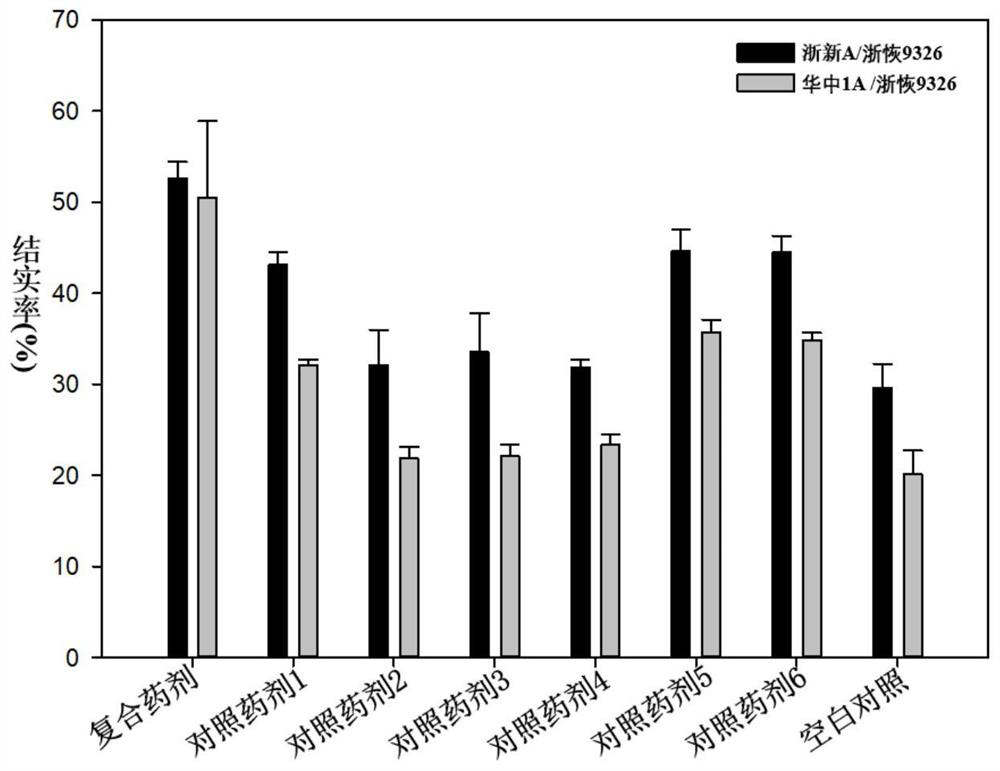 Composite agent for improving stigma exsertion rate of japonica rice three-line sterile line and application of composite agent