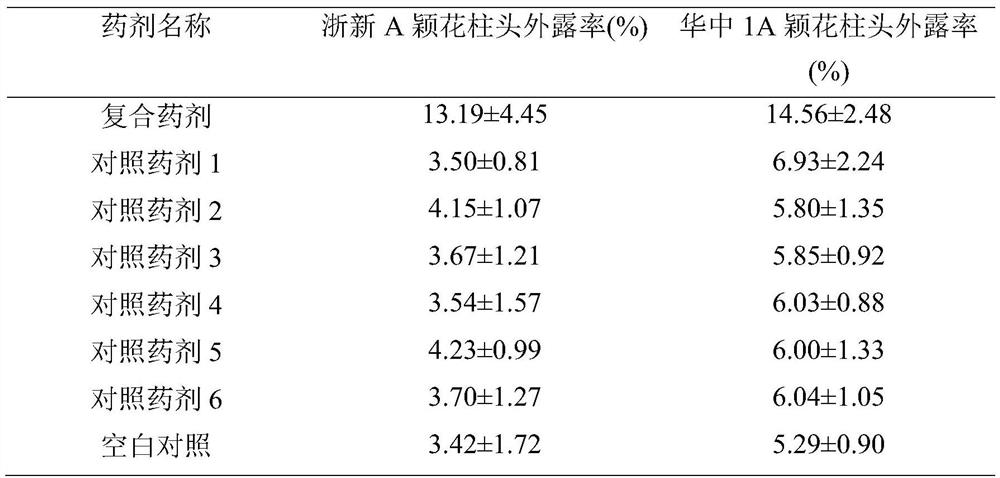 Composite agent for improving stigma exsertion rate of japonica rice three-line sterile line and application of composite agent