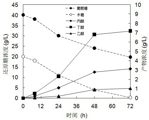 A bacterial strain that simultaneously utilizes glucose and xylose to produce alcohol fuels and its application