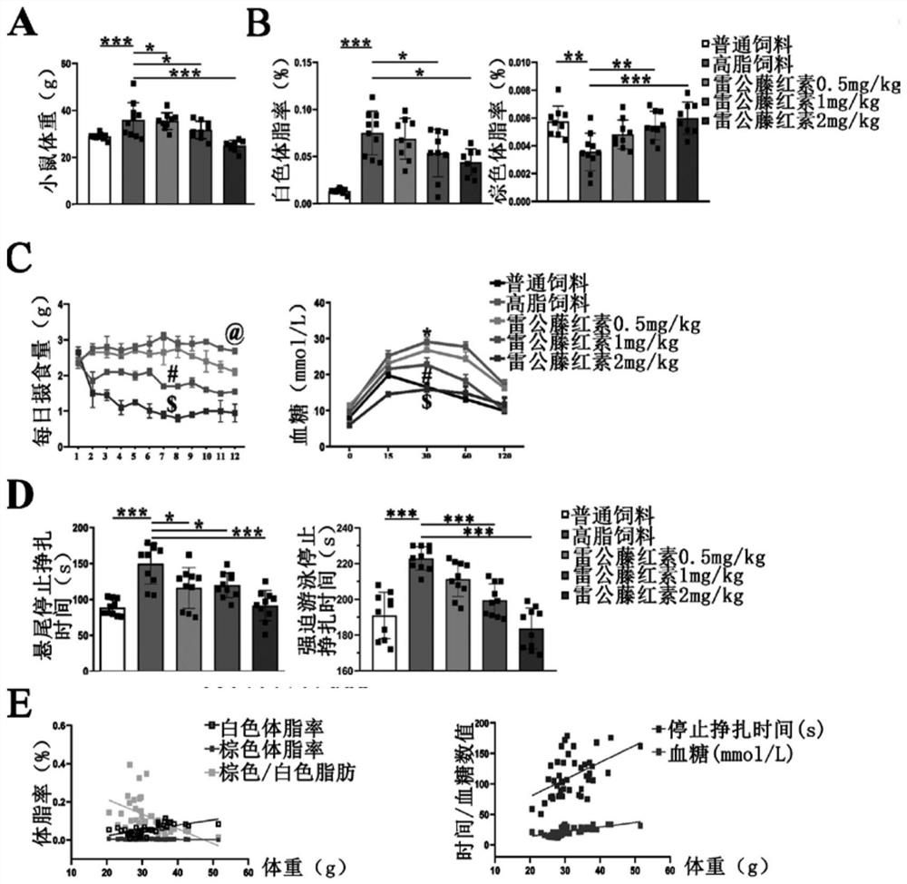 Applications of tripterine in preparation of drugs for treating complex refractory depression