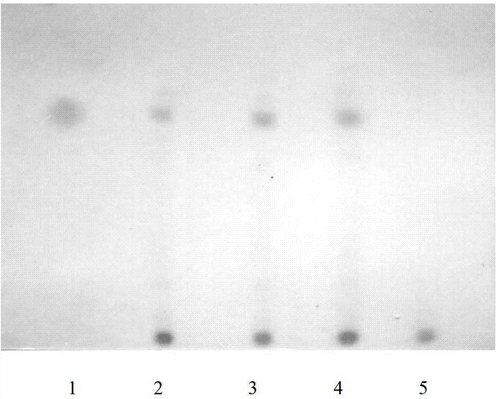 Detection method of Xianyu capsule for treating epileptoid convulsion, infantile convulsion and mimic convulsion