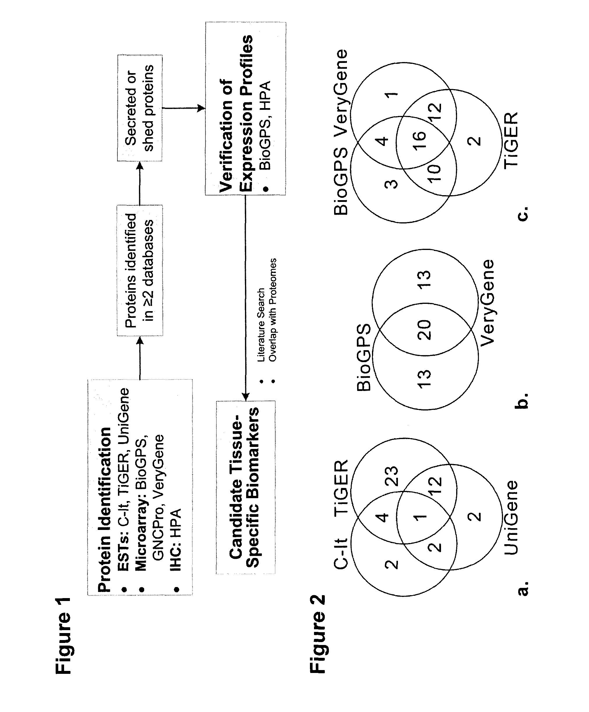 Cancer Biomarkers and Methods of Use