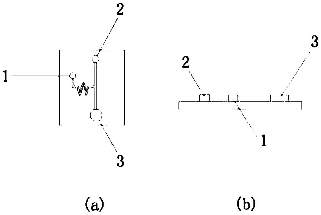 Treponema pallidum detection primer and kit