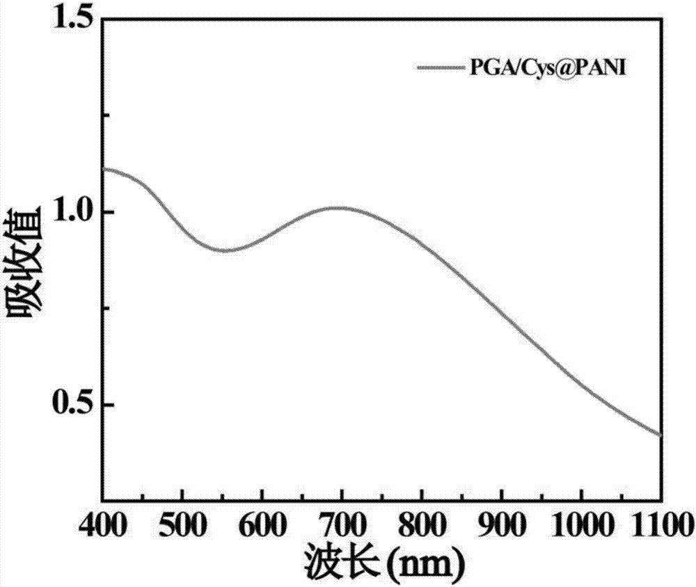 Preparation method of polyaniline-loaded gamma-PGA (Polyglutamic Acid) nano-hydrogel