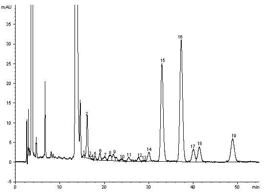 Construction method of ganoderma spore powder polysaccharide fingerprint and standard fingerprint of ganoderma spore powder polysaccharide