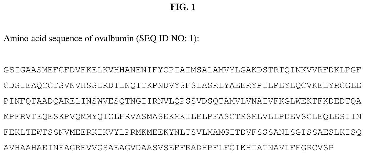 Recombinant animal-free food compositions and methods of making them