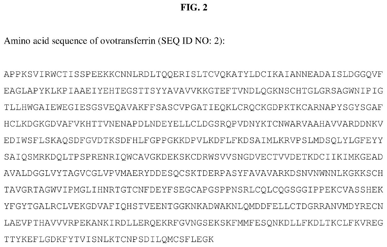 Recombinant animal-free food compositions and methods of making them
