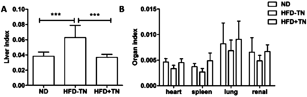 Uses of triptolide for treating obesity and fatty liver