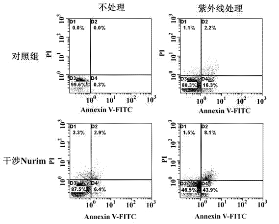 Marker for cancer detection and application thereof