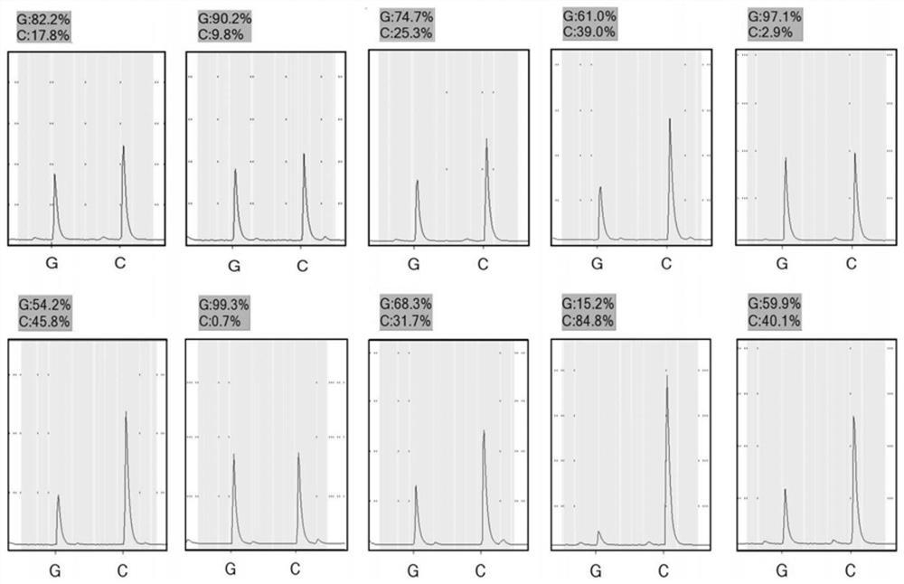 A method and kit for detecting the expression of igf-1 alleles in Oni tilapia