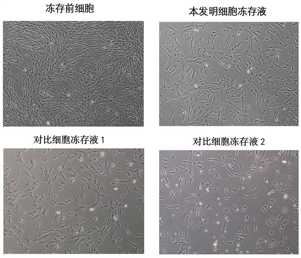 Protein-free and DMSO-free cell freezing medium as well as application and preparation method thereof