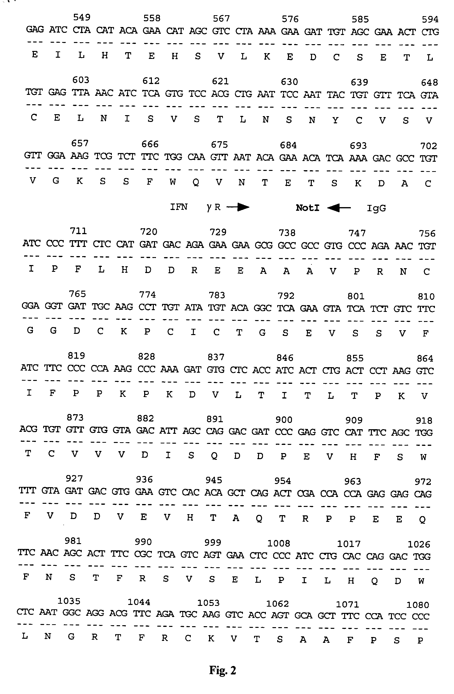 Vector for gene therapy and method of quantifying target protein in mammal or cultured cells with the administration of the vector for gene therapy