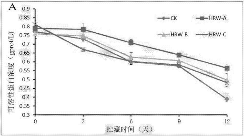 Method for prolonging shelf life of hypsizygus marmoreus and improving quality thereof using hydrogen-rich water