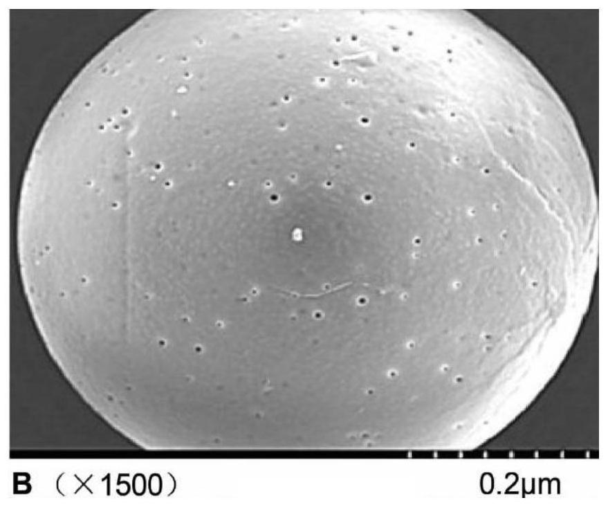 Anti-NGF antibody slow-release microspheres for reducing airway hyperreactivity and preparation method thereof