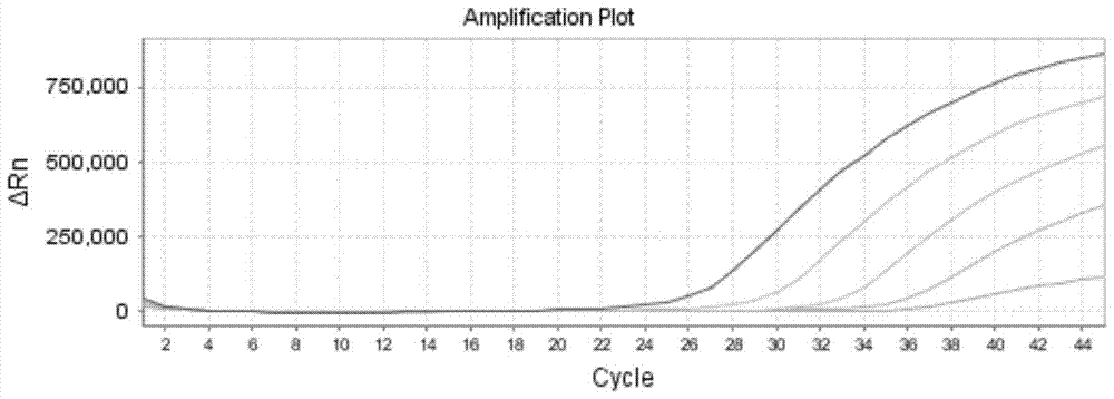 A nucleic acid detection kit for rapid detection of respiratory syncytial virus type a and type b and its application