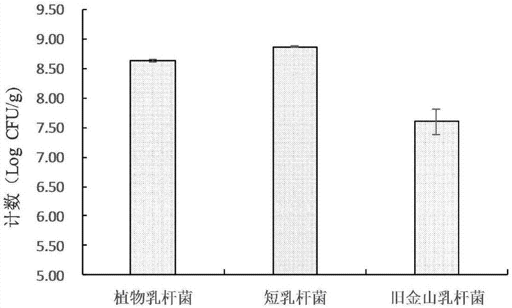 Lactobacillus brevis capable of improving fermented flavor of fermented dough steamed bun and application thereof