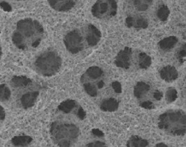 Porous nickel-based hydrogen evolution electrode composite material