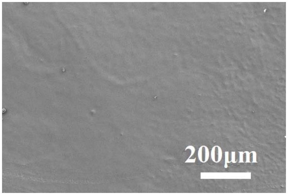 Cellulose nanofibril-PBAT composite film as well as preparation method and application thereof