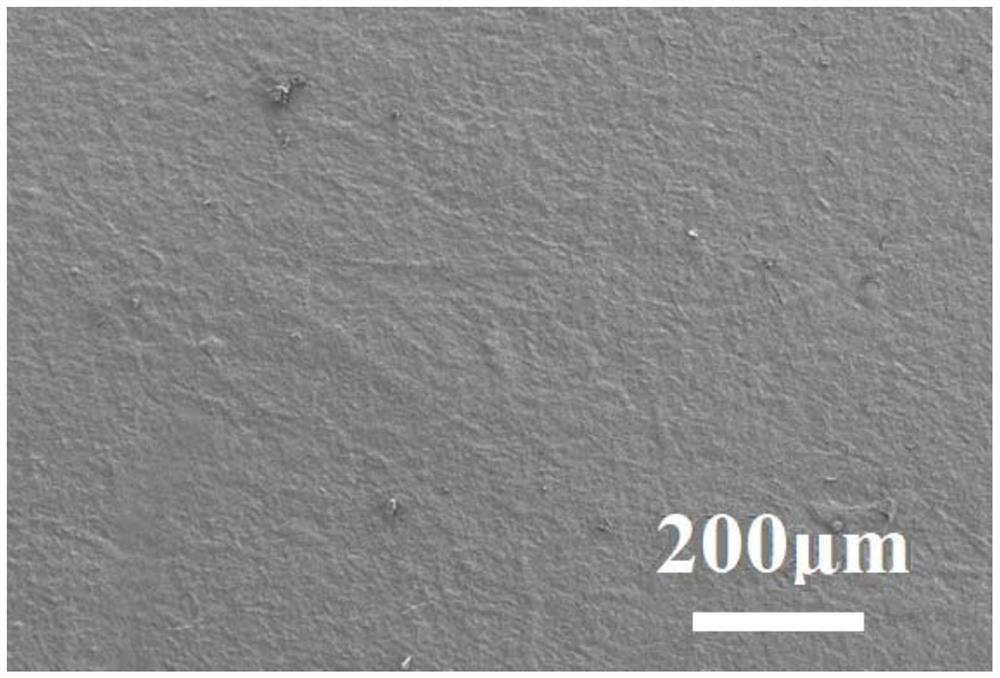 Cellulose nanofibril-PBAT composite film as well as preparation method and application thereof