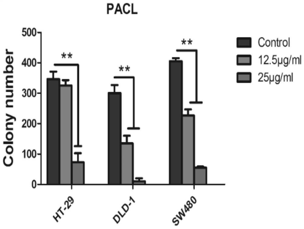 Tung flower leaf petroleum ether extract and its preparation and application in the treatment of colon cancer