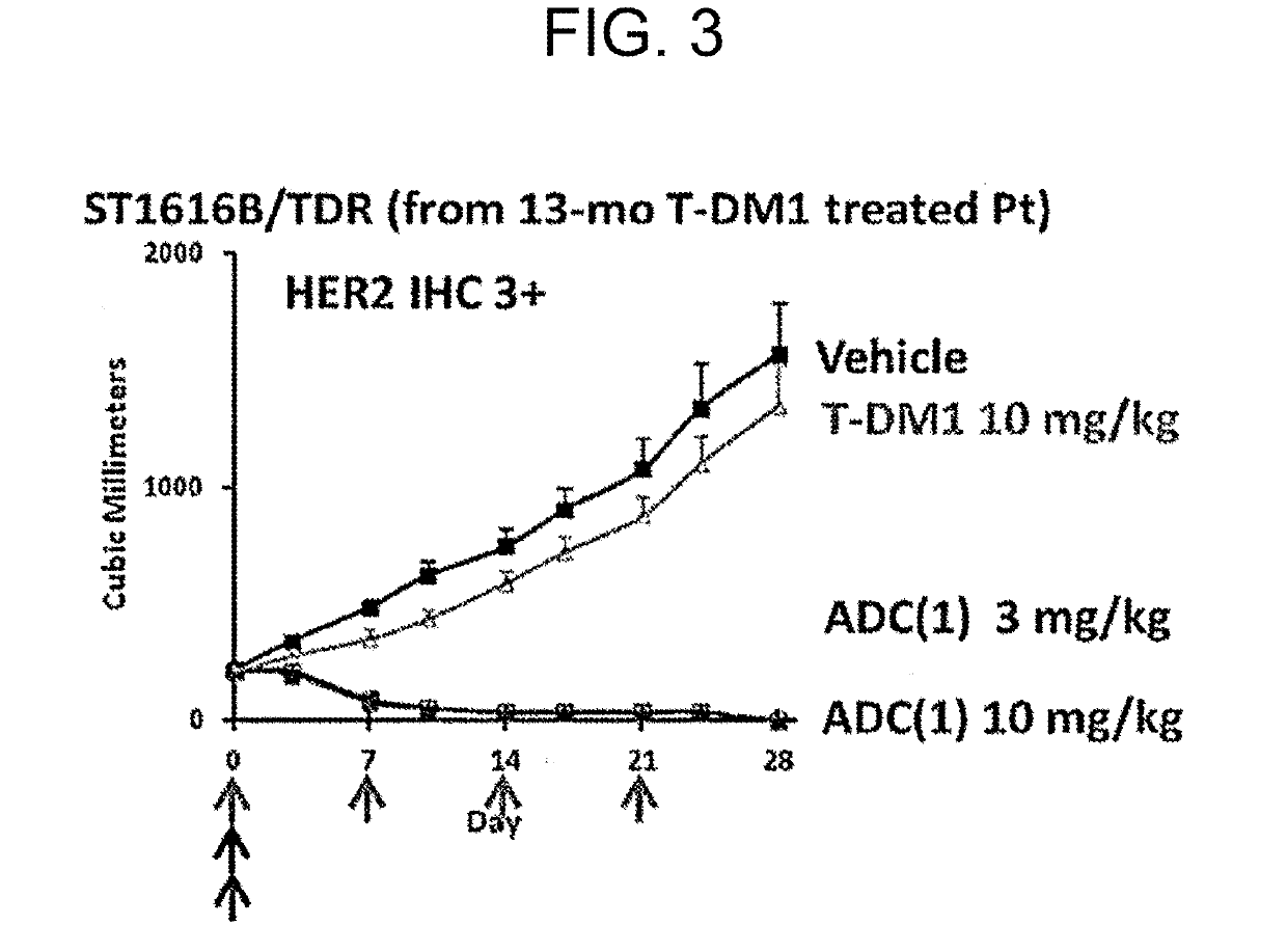 Therapy for drug-resistant cancer by administration of Anti-her2 antibody/drug conjugate