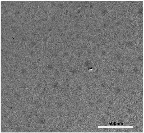 Paclitaxel dimer, preparation method and preparation thereof