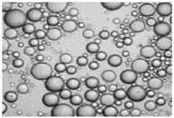 An amphiphilic nanotio  <sub>2</sub> Powder catalyst and its preparation method and use method