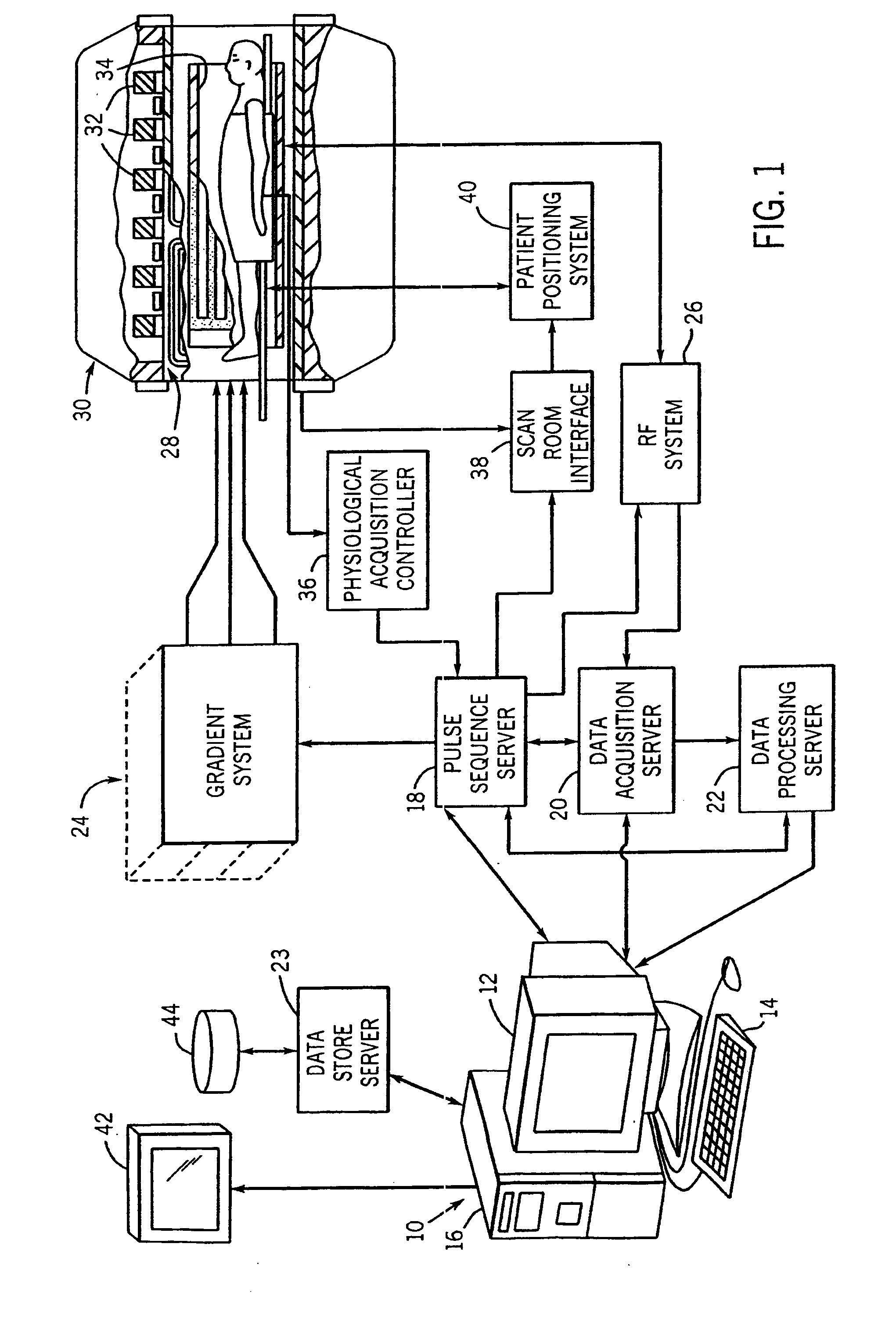 Shaped MRI Coil Array