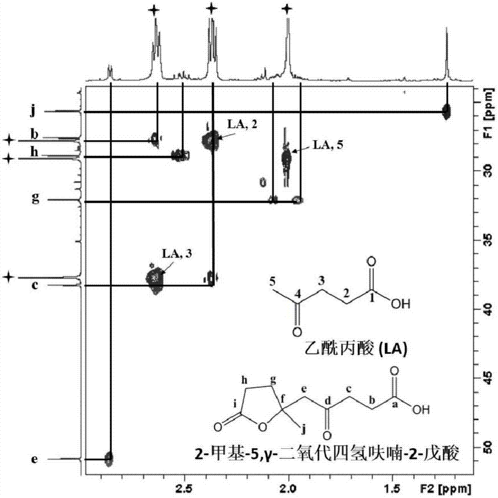 Method for preparing 2-methyl-5, gamma-dioxotetrahydrofuran-2-pentanoic acid by catalysis of levulinic acid on basis of solvent process
