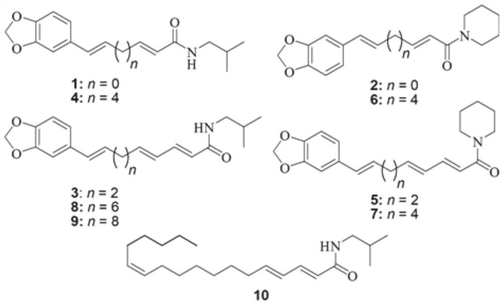 Efficient preparation method and application of high-purity amide alkaloid component
