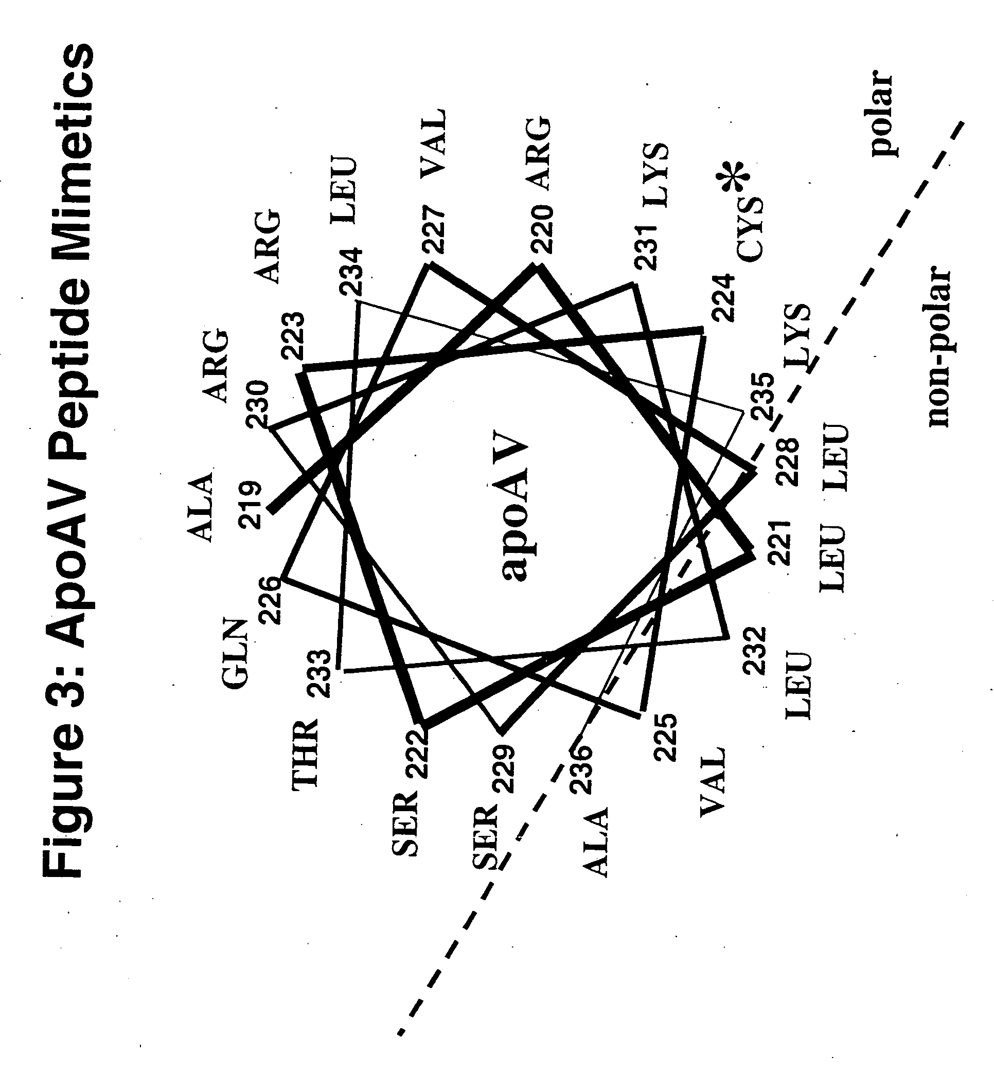 Cysteine-containing peptides having antioxidant properties