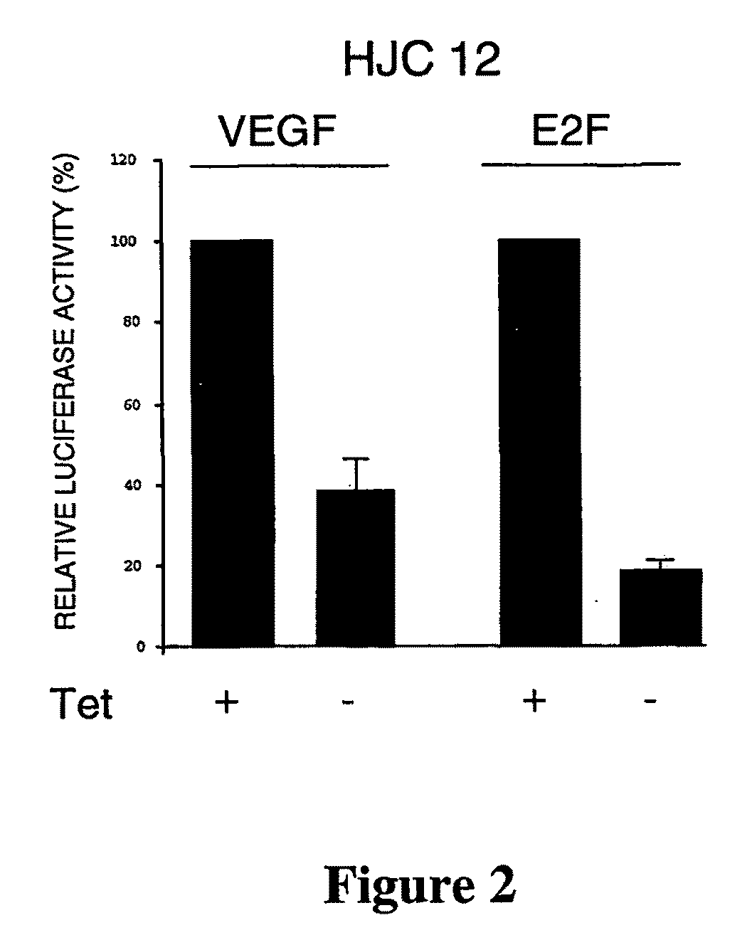 Inhibition of pathological angiogenesis in vivo