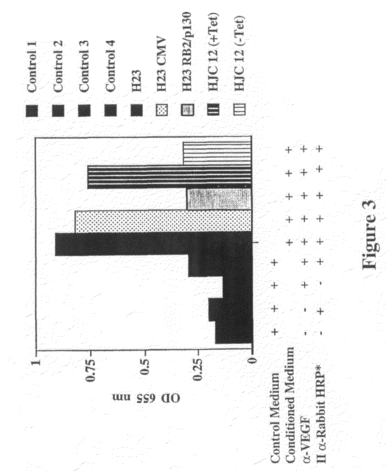 Inhibition of pathological angiogenesis in vivo