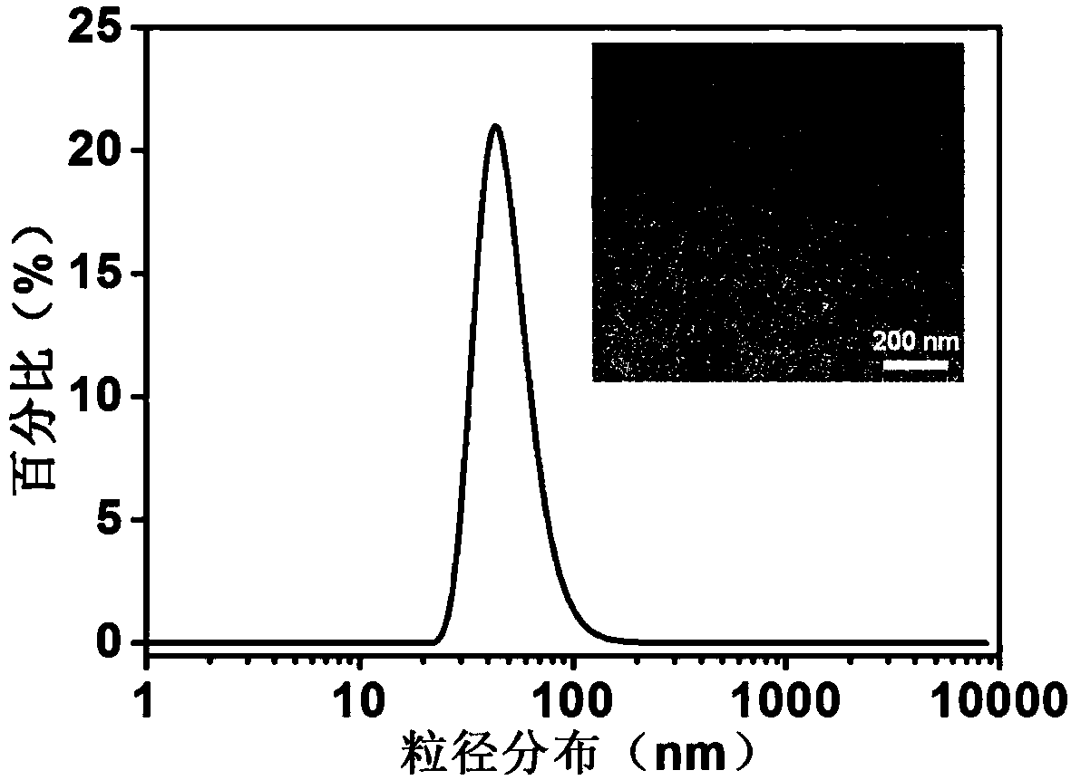 Nano-particle with excellent blood stabilizing performance, and preparation method thereof