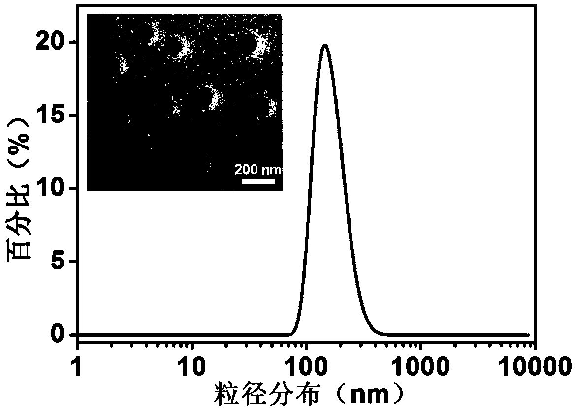 Nano-particle with excellent blood stabilizing performance, and preparation method thereof