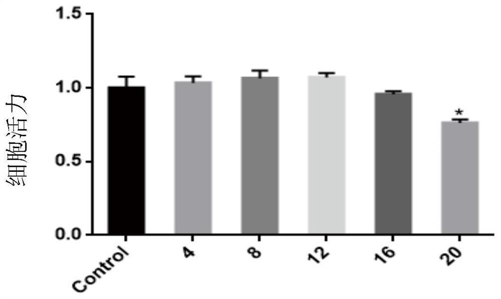 Application of curcumin in preparation of medicine for preventing and treating ionizing radiation induced reproductive system injury