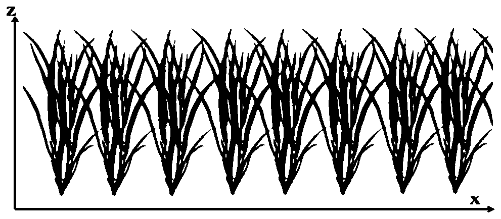 Field wheat stem tiller number extraction method